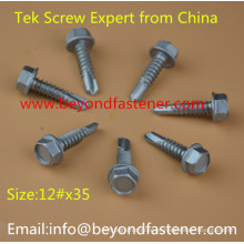 Bulidex Screw Roofing Screw Tek Screw Bolts